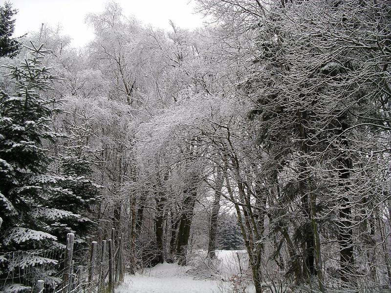 Winter 100.jpg
